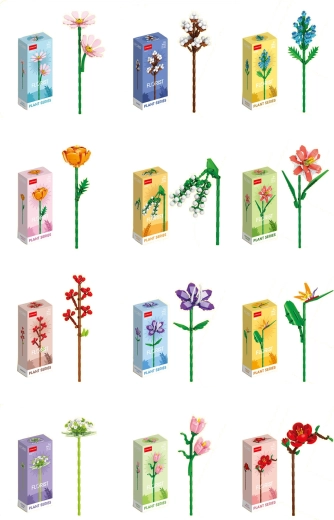 Florist pestrofarebné letné a poľné kvety (12 druhov)
