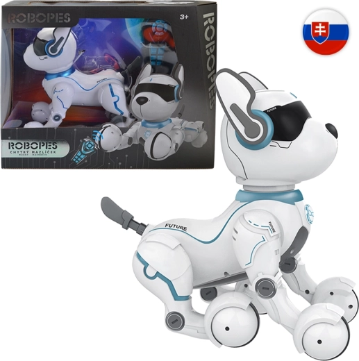 IR robopes s hlasovými povelmi