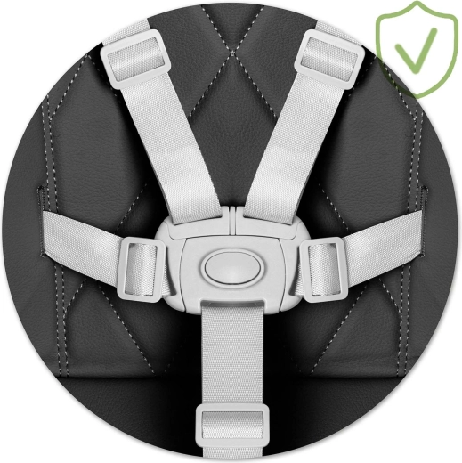 Maximálna bezpečnosť vďaka 5-bodovým pásom