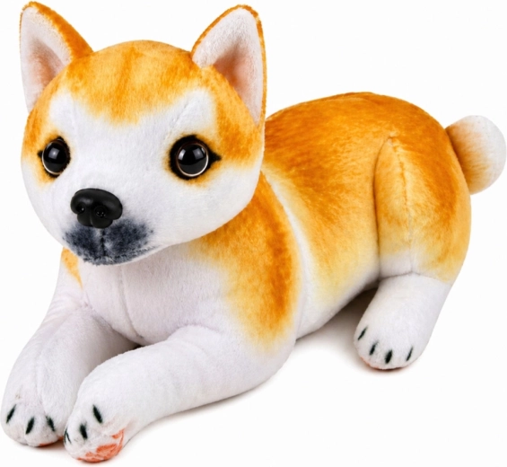 Realistický vzhľad Shiba Inu