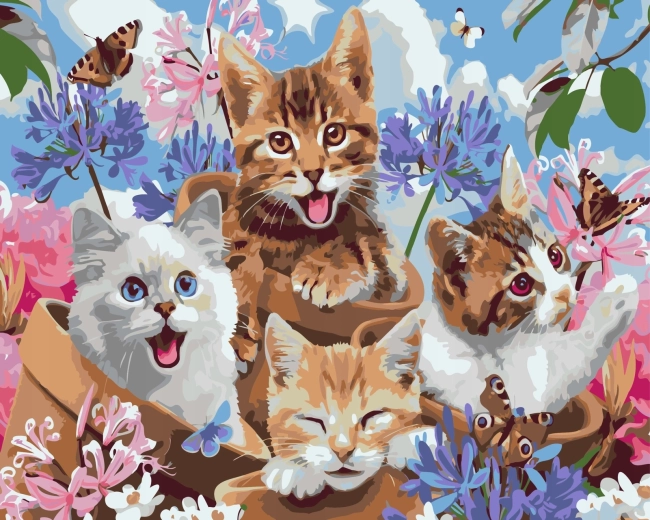 Norimpex Maľovanie podľa čísel šťastné mačiatka v kvetináčoch 40 × 50 cm