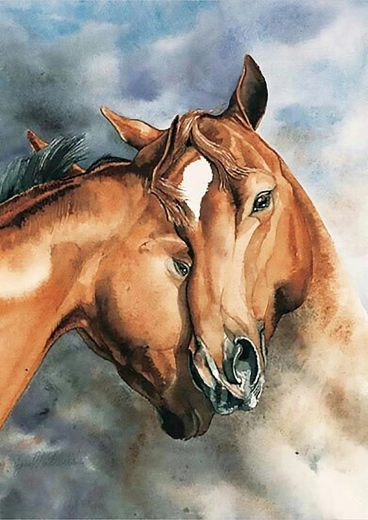 Norimpex maľovanie podľa čísel Kone 40 × 50 cm