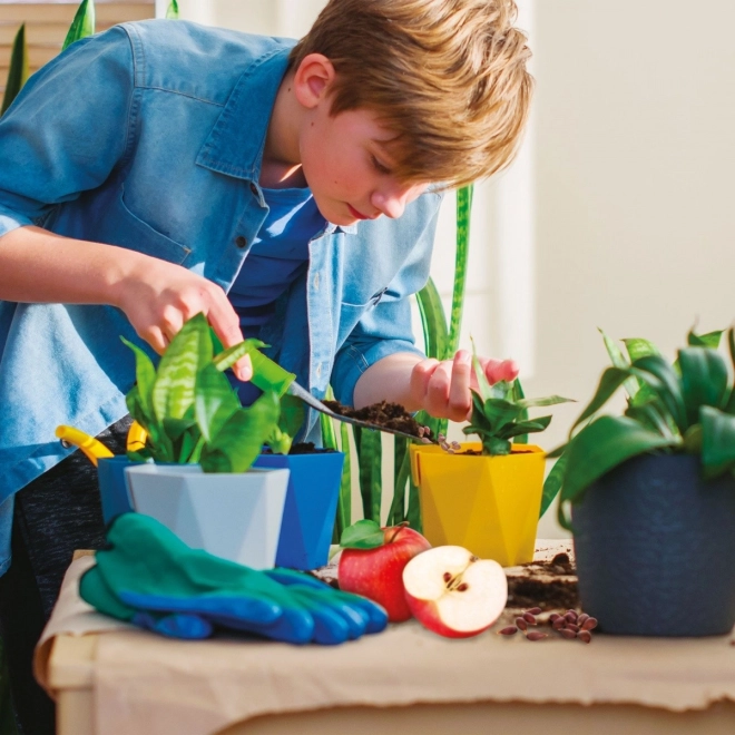 Zábavné pestovanie doma