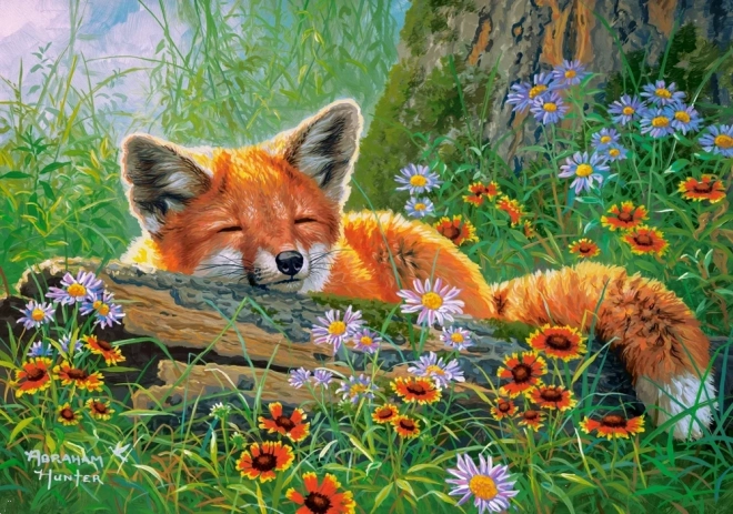 Puzzle 500 dielikov Foxy Dreams