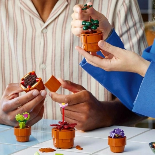 Spoločné stavenie a digitálny návod