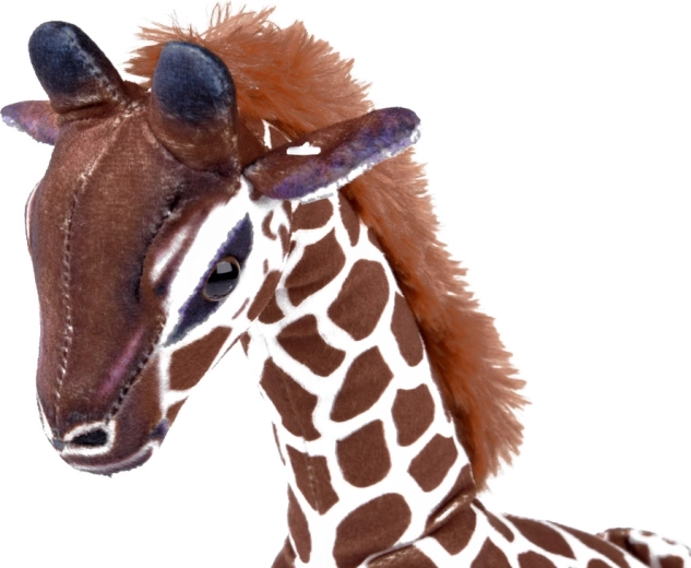 Bezpečné detaily a kvalitné spracovanie