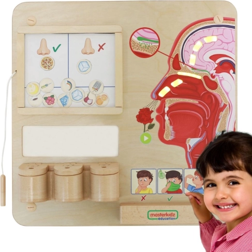 Masterkidz Montessori vzdelávacia tabuľa Zmysel čuchu