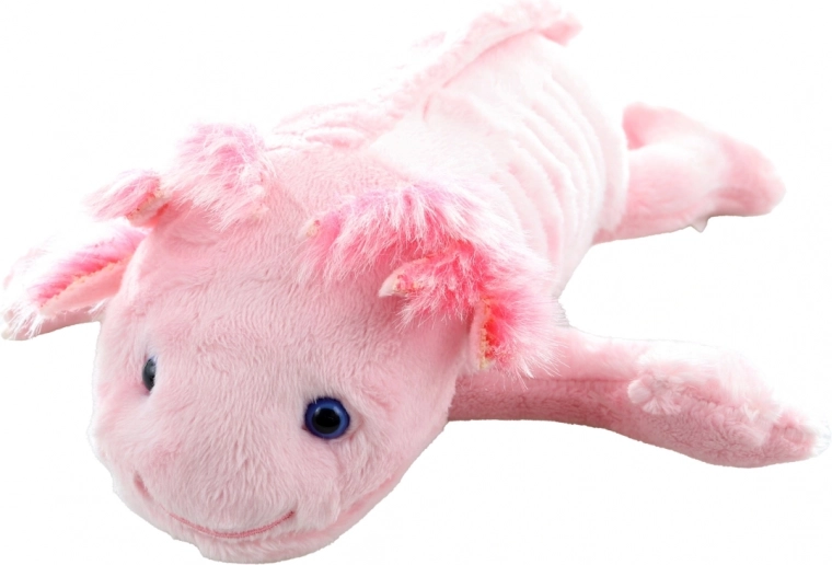 Roztomilé detaily axolotla