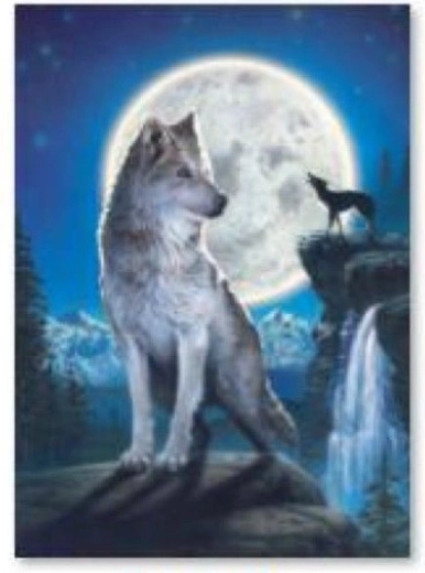 Diamantové vyšívanie (diamond painting) vlk 30 × 40 cm