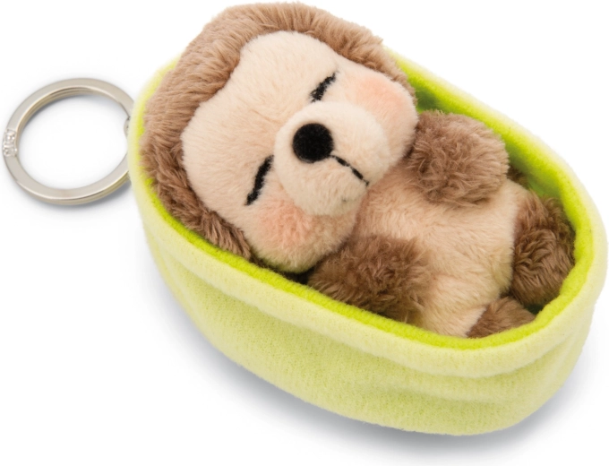 Roztomilý spiaci ježko vždy po ruke