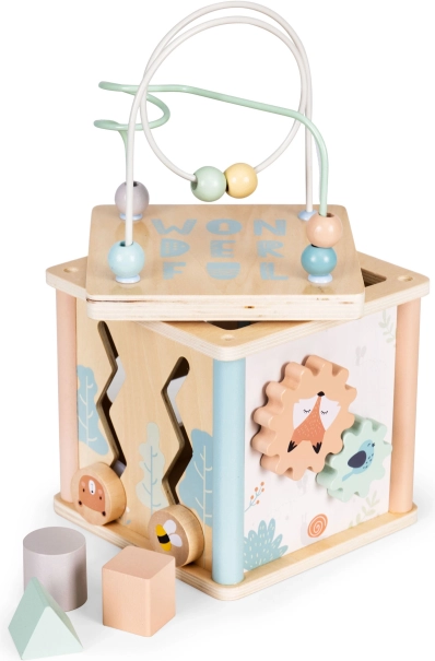Drevená vzdelávacia kocka so sortérom ECOTOYS