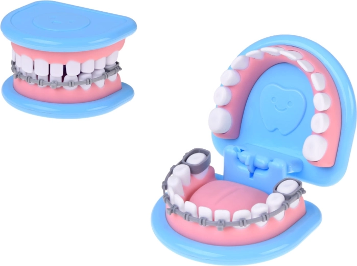 Realistický model čeľuste
