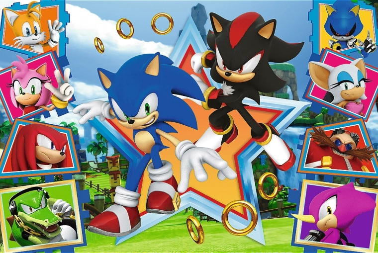 Puzzle 100 dielikov - Zoznámte sa so Sonicom