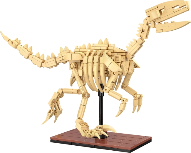 Svietiace kostry a výstavné spracovanie