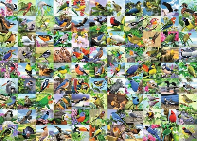 Puzzle 2D veľký formát – 99 očarujúcich vtákov, 300 dielikov