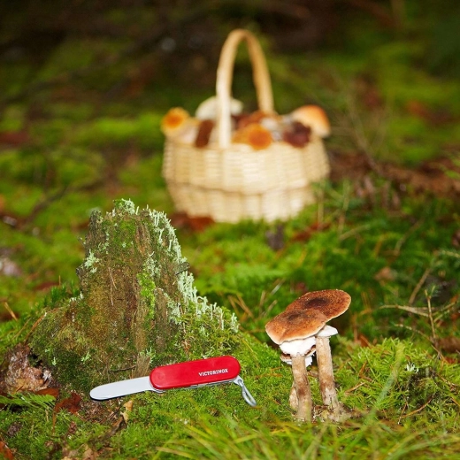 Licencovaný dizajn VICTORINOX