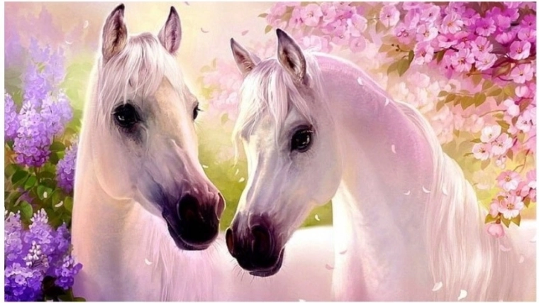 Diamantové maľovanie – zamilované kone 30x40 cm NORIMPEX