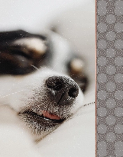 Fotoalbum CONCORDE pre 64 fotografií 10 × 15 cm