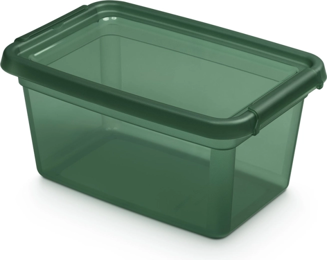 Basestore úložný box s vekom a klipsami PINE 4,5 l