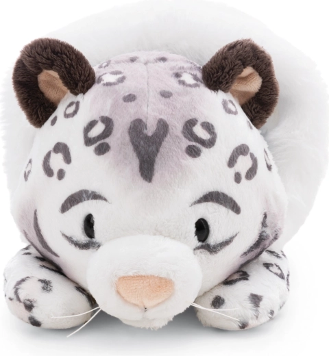 Udržateľná voľba z RPET