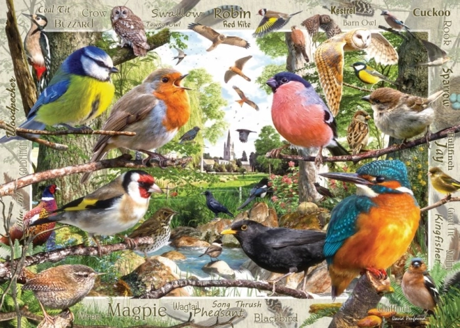 Ravensburger puzzle Naši operení priatelia 1000 dielikov