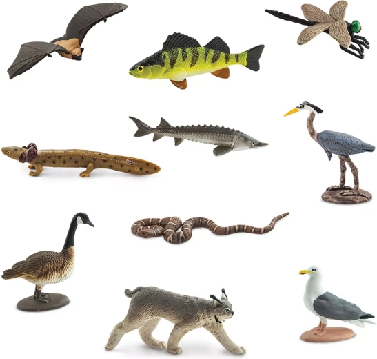10 miniatúr zvierat z oblasti Veľkých jazier