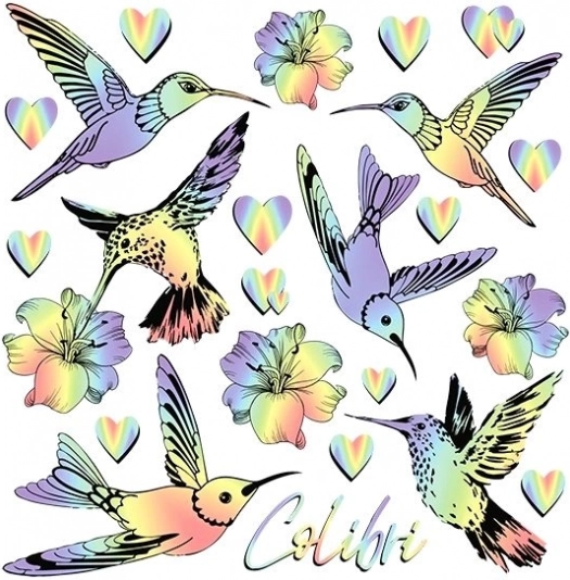 Nažehľovacie obrázky dúhové kolibríky – malý hárok 15 × 21 cm