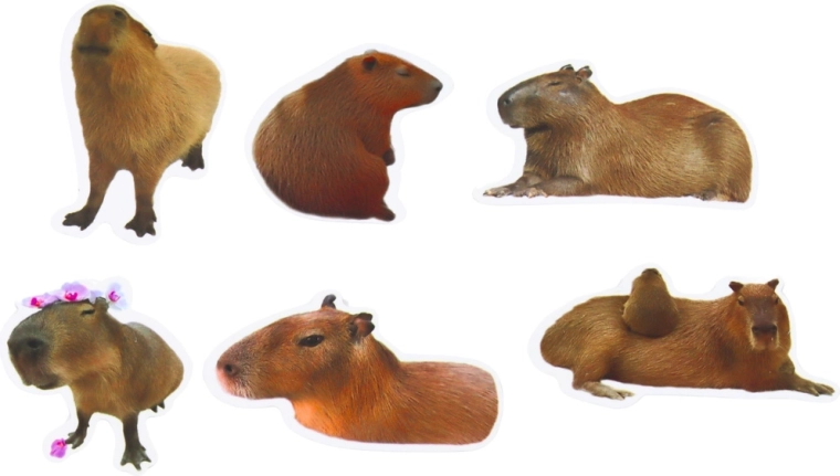 Väčší formát 6–7 cm pre efektné zdobenie