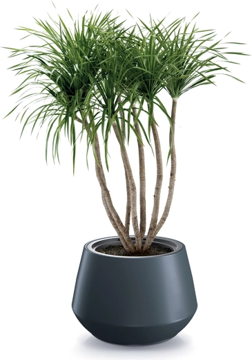 Moderný antracitový vzhľad