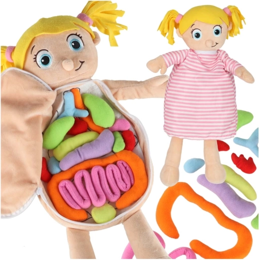 Plyšová anatomická bábika pre deti Montessori