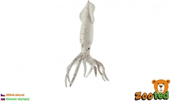 Kalmár obyčajný – realistický plastový model, 15 cm
