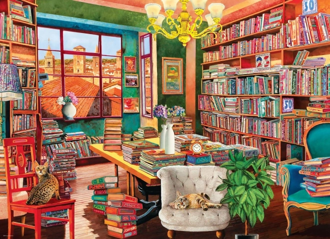 Puzzle Star1 kni7dha 1000 dielikov EUROGRAPHICS