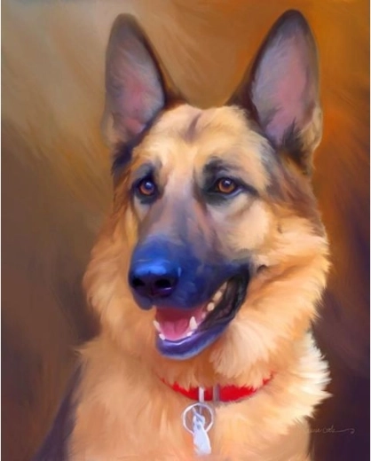 Diamantová mozaika (diamond painting) – nemecký ovčiak 30 × 40 cm