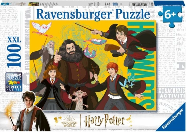 Harry Potter: mladý čarodej puzzle 100 dielikov