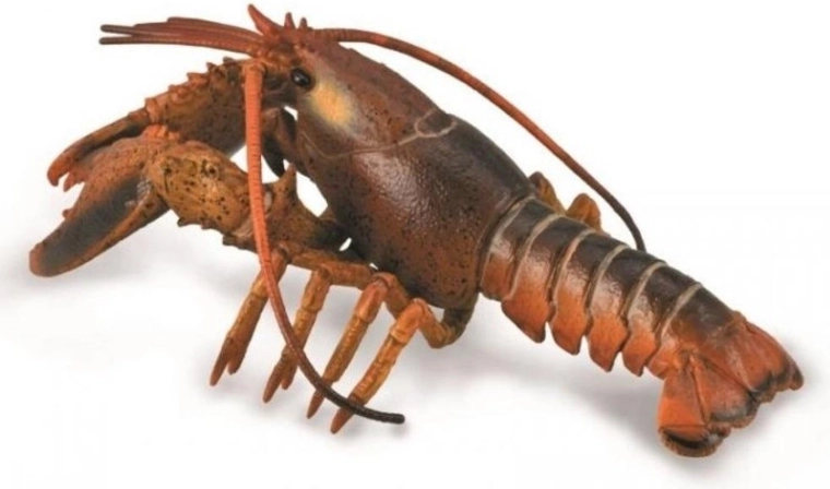 Collecta homár – realistická vzdelávacia figúrka