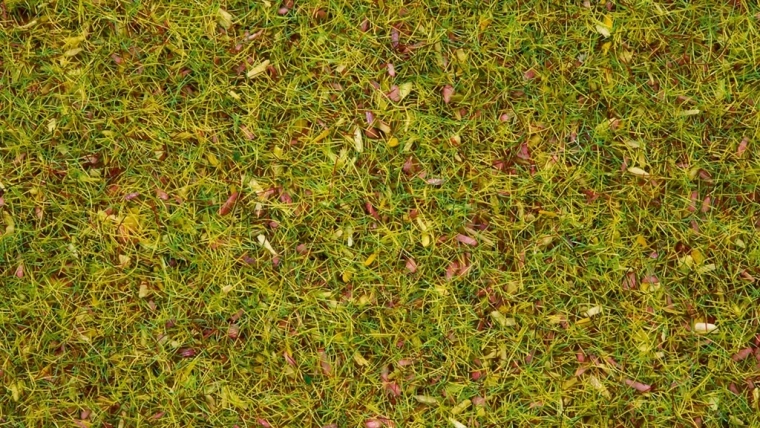 Noch statická tráva kvitnúca lúka 2,5 mm