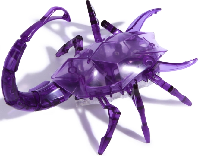 Svietiaci chvost pre ešte väčšiu podívanú