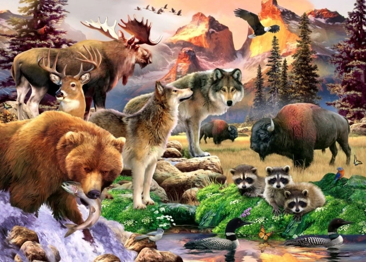 Puzzle Príroda 500 dielikov
