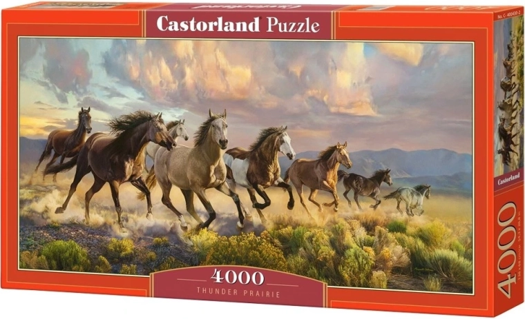 Puzzle Castorland Hvízdajúca préria 4000 dielikov