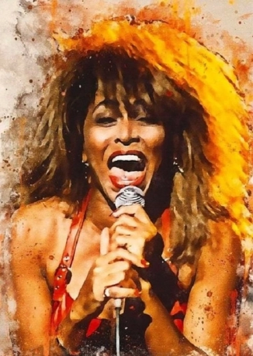 Norimpex diamantové maľovanie Tina Turner spieva 30 × 40 cm