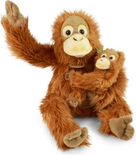 Dve hračky v jednom