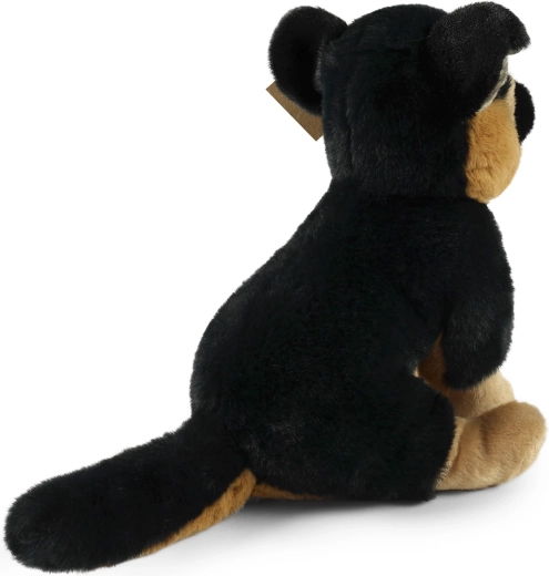 Ideálny maznáčik na cesty aj do postieľky