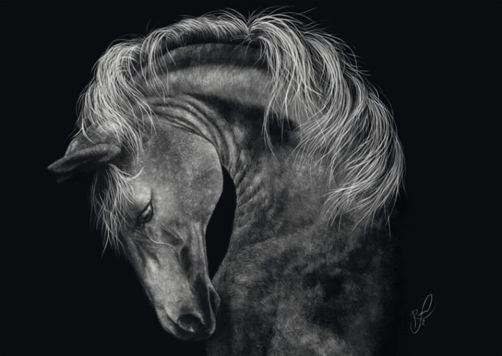 Puzzle Sila koňa 1000 dielikov