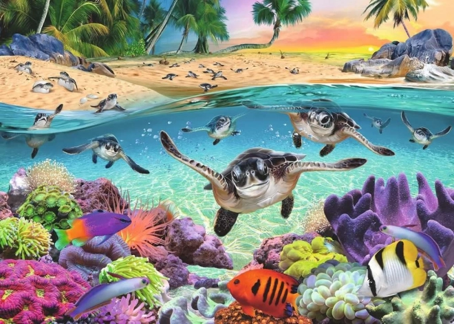 Puzzle Korytnačie mláďatá 500 dielikov XXL