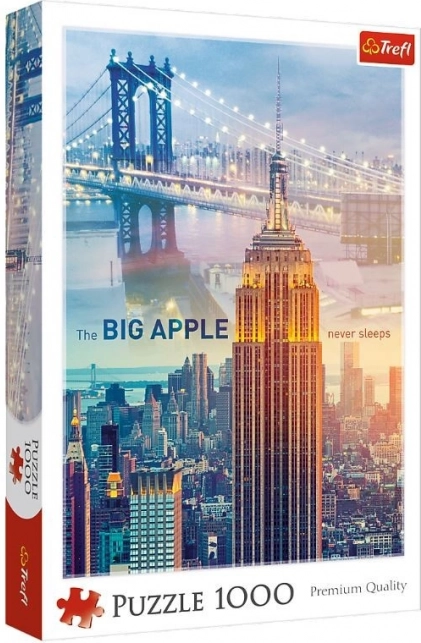 Puzzle 1000 dielikov New York za úsvitu