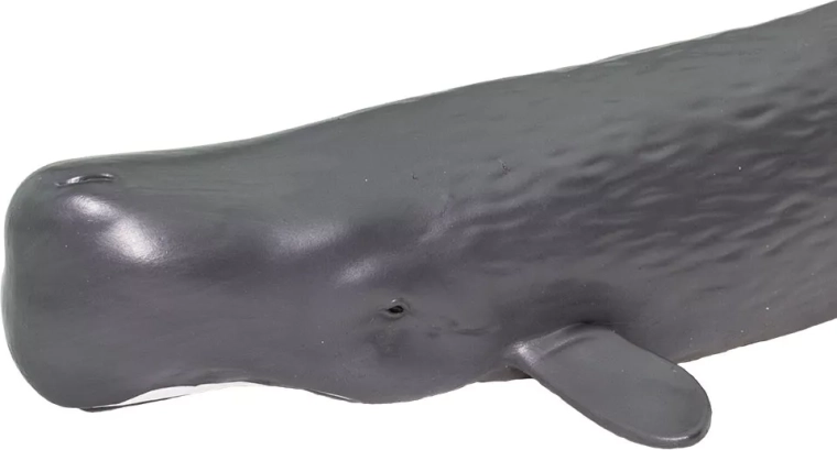 Skvelé na hru aj učenie „učiť sa hrou“