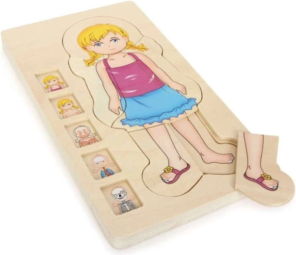 Drevené vrstvené puzzle anatómia tela dievčaťa