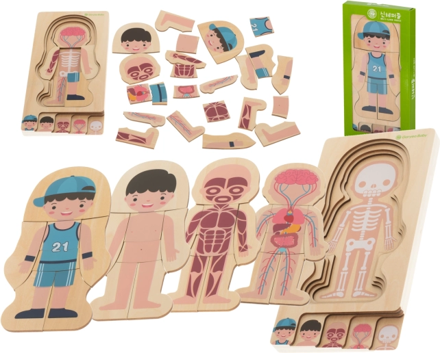 Drevené vrstvené puzzle ľudské telo Montessori