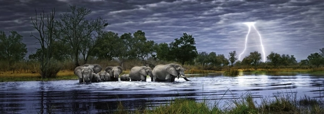 panoramatické puzzle Slonie stádo Botswana 2000 dielikov