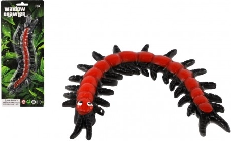 Natahovacia stonožka leziaca po skle